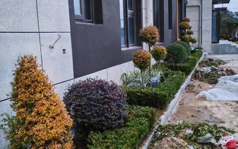 提升园林绿化工程建设品质