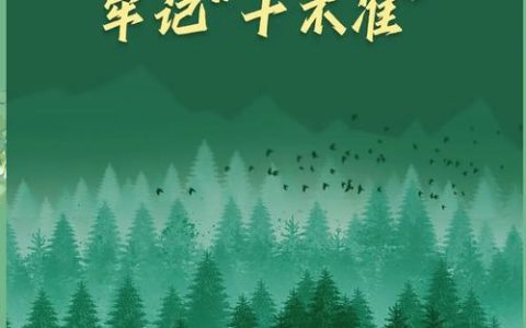 我市发布森林禁火令