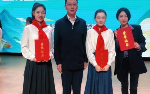 咸宁市3名少先队辅导员在全省大赛获佳绩