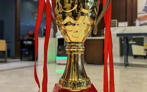 从省赛载誉归来  咸宁军创企业揽获四奖项