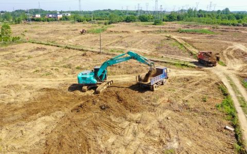 咸安全域国土综合整治有“良方”—— “林耕置换”巧破局 探索耕地保护新路径