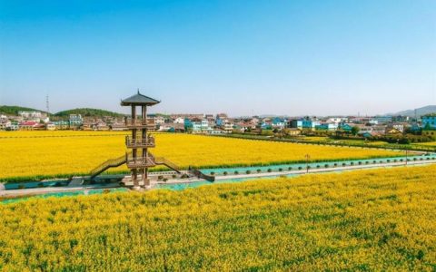 咸安高桥镇“农文旅”融合  打造美丽乡村新样板