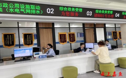 嘉鱼“云端面对面” 开启高效政务新时代