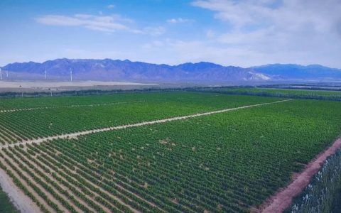 蒲纺喜获国家级示范基地授牌  助赤壁文旅经济双提升