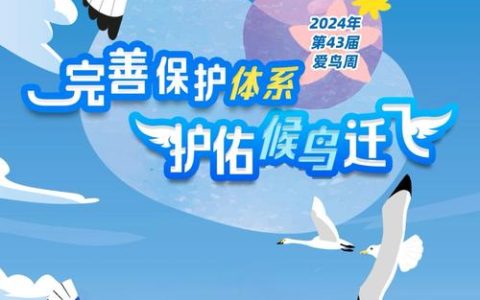 赤壁开展“欢迎候鸟回家”主题宣传  守护生态家园