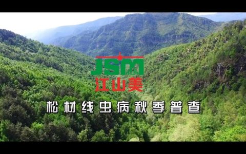 赤壁高质量完成2025年松材线虫病秋季普查