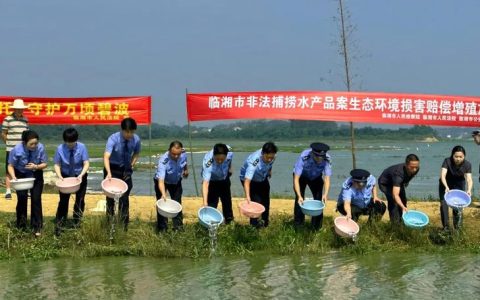 350余万尾鱼苗 “安家”黄盖湖 助力水域生态修复