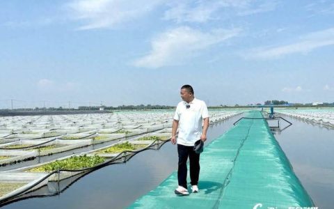 新农人激活水产产业活力