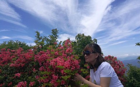 花儿为什么这样红——通城县培育文明实践项目品牌侧记