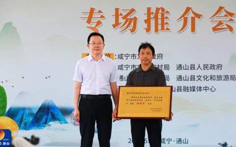 通山“新串堂  传新风”文明实践项目 入选湖北省品牌项目库