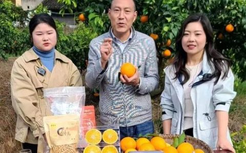 果园变直播间  通山邮政村播助农增收