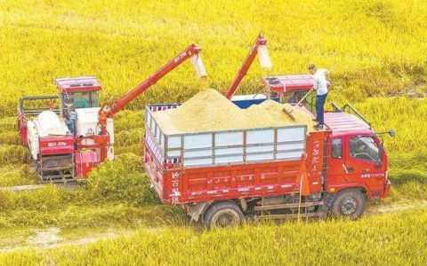 3000亩丰收田的三重蜕变