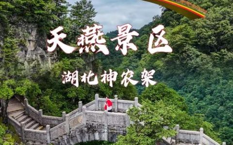 国际游客体验神农架：清凉山水间的烟火风情