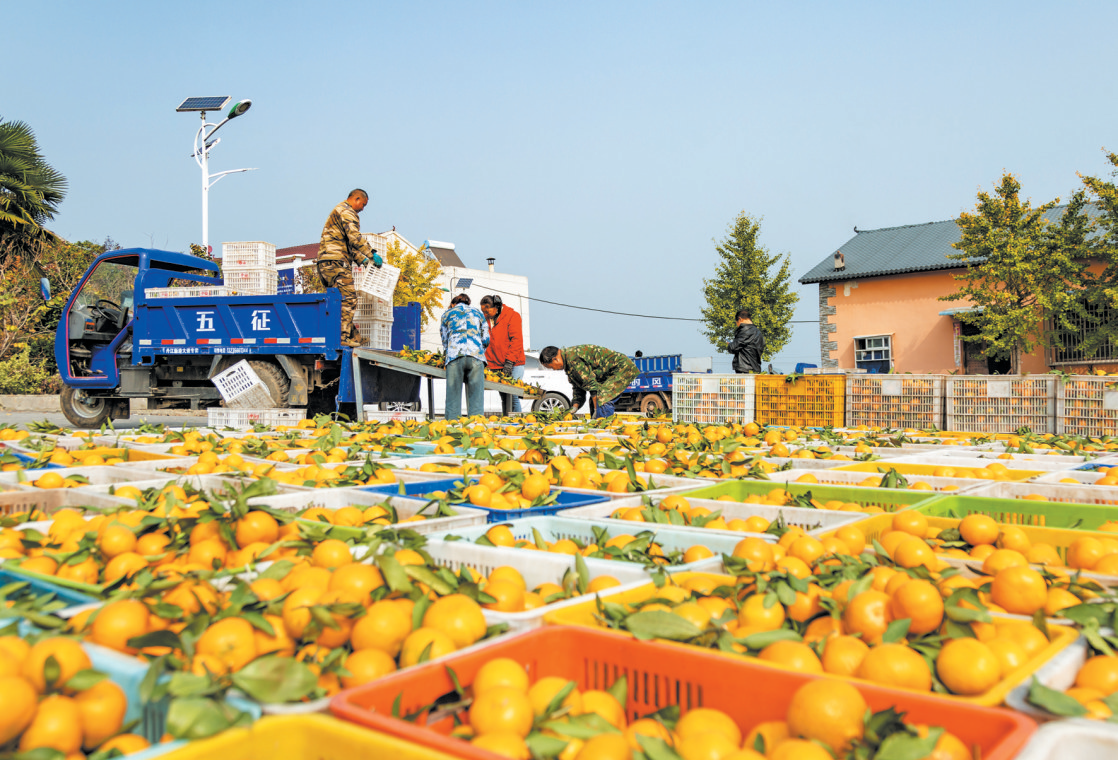 摄影画刊 | 一库碧水万树金