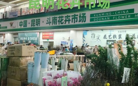 “一朵花”“链接”全国市场