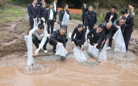 40万尾珍贵鱼苗放流长江，武汉启动长江冬季生态“进补”