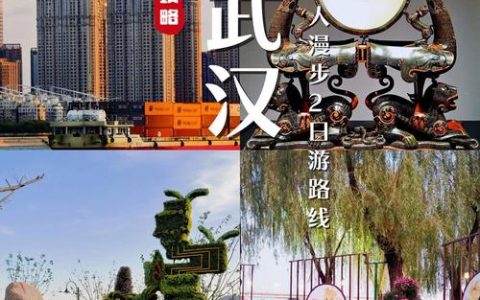 武汉：吸引全球要素奔涌而来