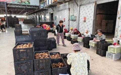 金融活水润山乡　荒坡结出“致富果”