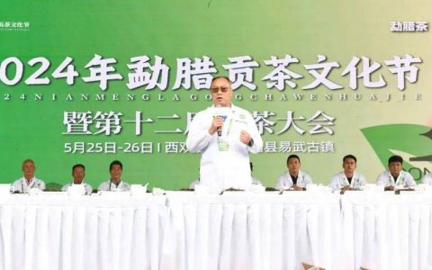 2025贡茶文化节圆满收官 赤壁“一黑一红”香飘京城