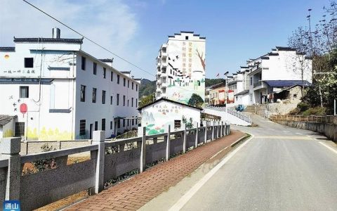 “治”出美丽乡村新画卷—— 通山县推动大畈镇隐水河综合整治观察