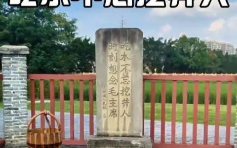 我是守井人 | 守好山，就是护好水