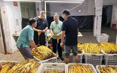 鹤峰县完成烤烟收购工作