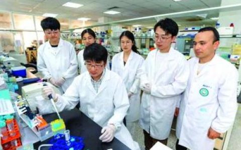 科研攻关兴产业