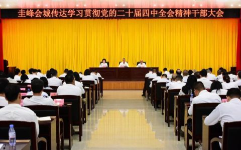 市城发集团召开学习宣传贯彻党的二十届四中全会精神宣讲会