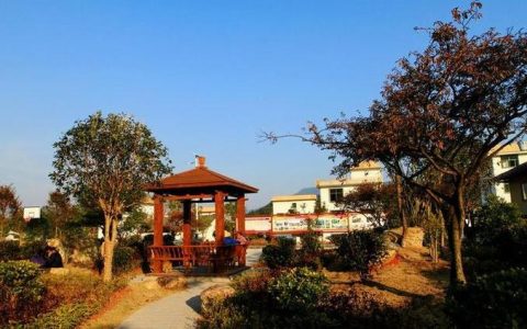 黄州区重塑乡村温情与活力