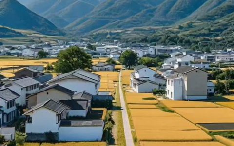 美丽乡村景如画