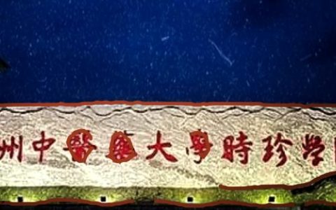 “时珍人才”研修成果落地临床