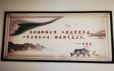 领略汉语无穷魅力，回望二十载气象万千