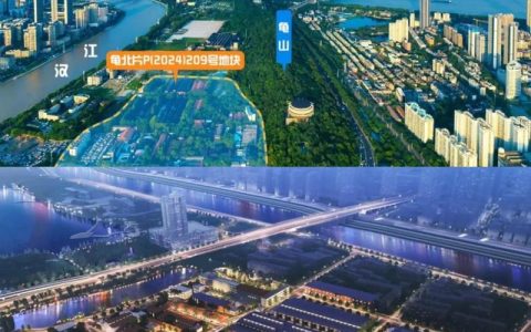 世界500强接连布局新项目，武汉成全球巨头青睐的投资热土