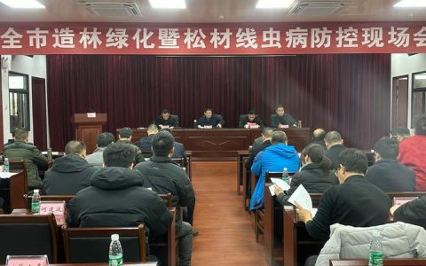 我市召开松材线虫病防治工作视频会