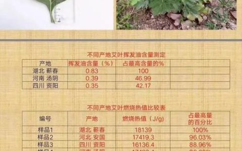 蕲艾线上交易额超52亿元