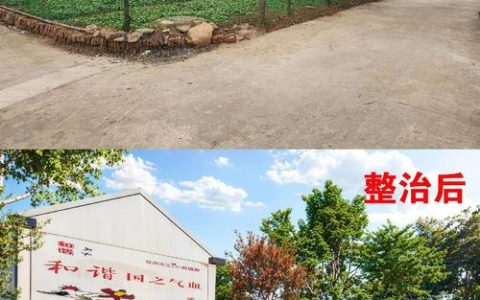 环境整治焕新颜 路网延伸兴乡村