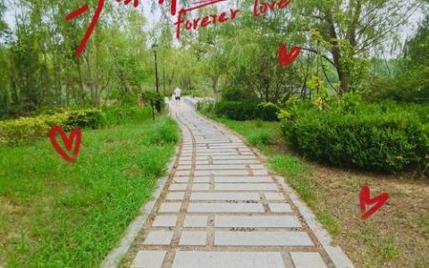 出门能见绿 转角遇到美