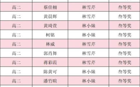第八届“南鄂杯”高创赛总决赛收官 赤壁一项目荣获一等奖
