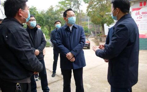 孙兵调研安全生产、森林防火和林长制工作