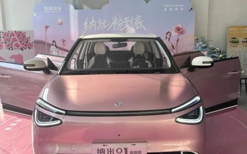 “武汉制造”加速出海 东风纳米新能源车出口南非