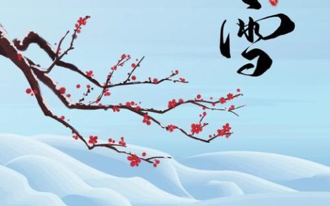 二十四节气 | 明日迎小雪 冬天脚步更近了