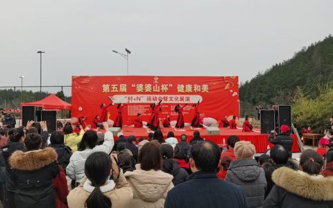 第二届百姓文化节在广华寺街道举行