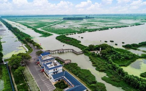 万鸟翔集返湾湖