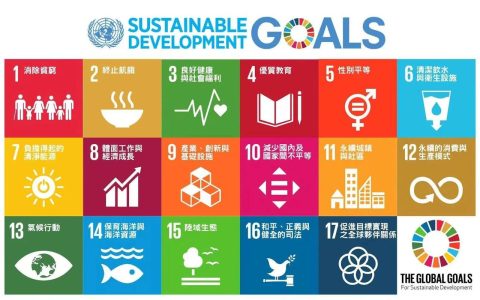 “国家目标”与“支点定位”的有机结合