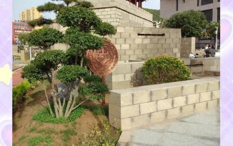 黄冈：把口袋公园建在群众心坎上