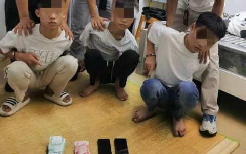 英山公安4小时破获连环盗窃案