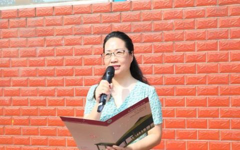 教海无涯爱作舟　匠心育人守初心——记通城县大坪乡下畈完小副校长吴素芹