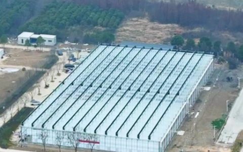 仙桃四季花谷内四季欢乐园项目进入收尾阶段