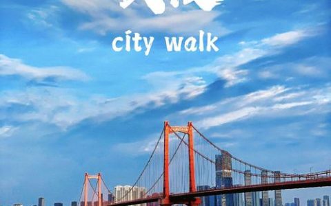 起势大武汉，雄心向未来