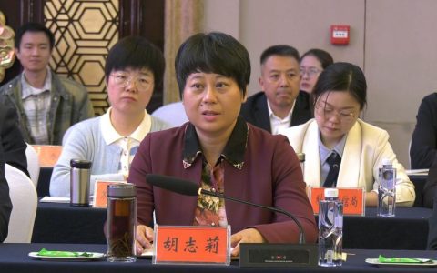 胡志莉主持召开市政府党组会议和市政府常务会议